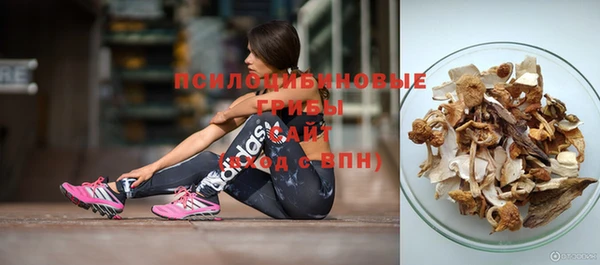 не бодяженный Ельня