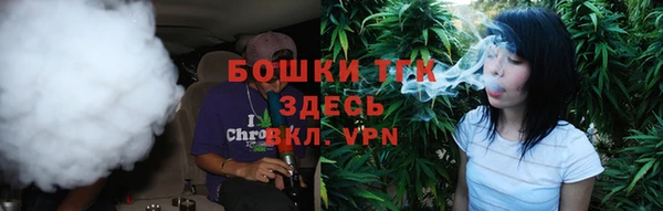 прущие грибы Елабуга