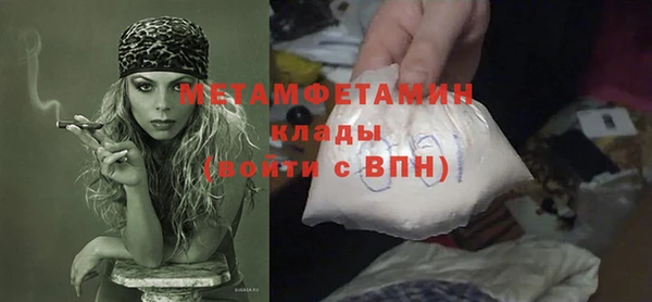 прущие грибы Елабуга