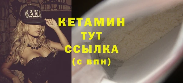 прущие грибы Елабуга