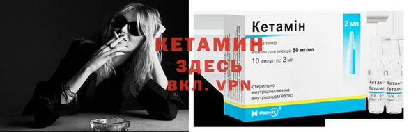 прущие грибы Елабуга
