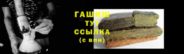 прущие грибы Елабуга