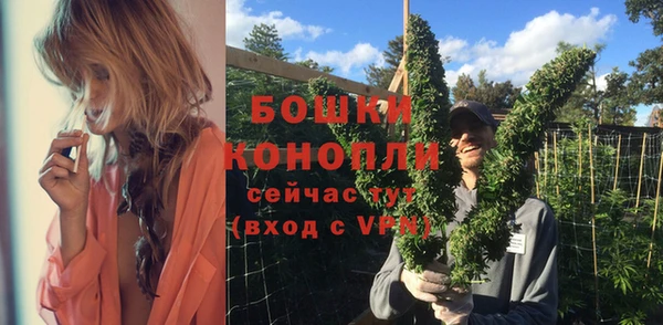 не бодяженный Ельня
