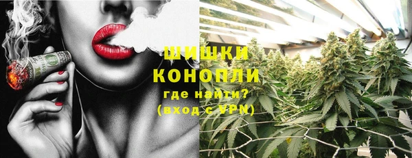 прущие грибы Елабуга