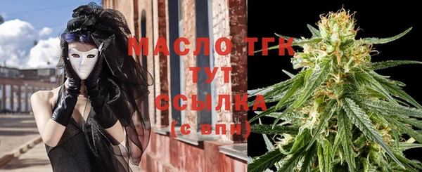 прущие грибы Елабуга