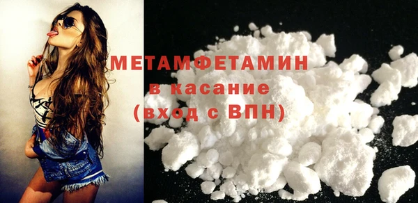 прущие грибы Елабуга