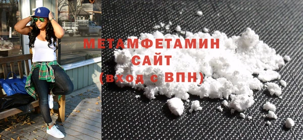 прущие грибы Елабуга