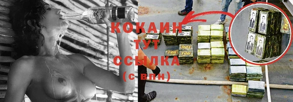 крисы Елизово