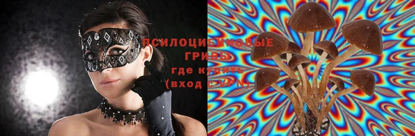 не бодяженный Ельня