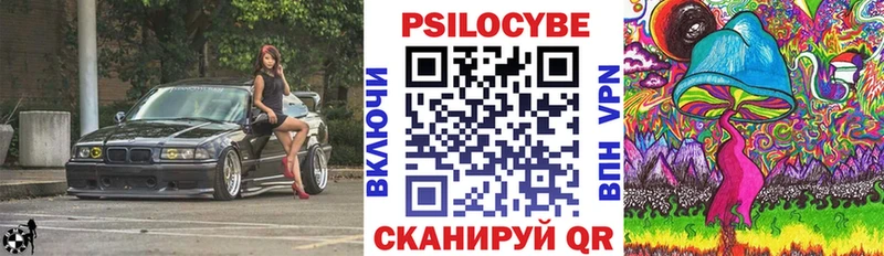 Купить где  Зарайск  Псилоцибиновые грибы Psilocybine cubensis 